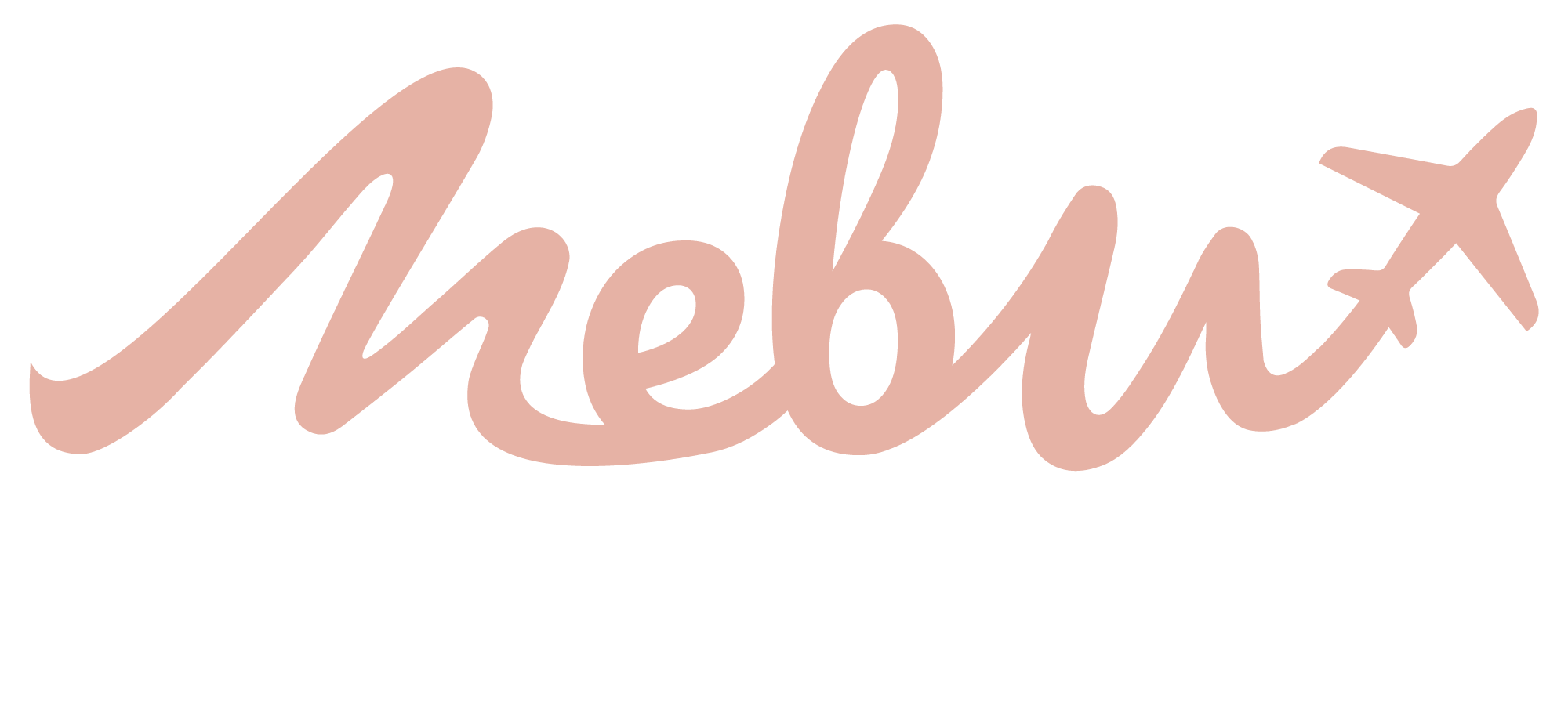 mebu ViajesUn pájaro sentado sobre un nido de huevos.